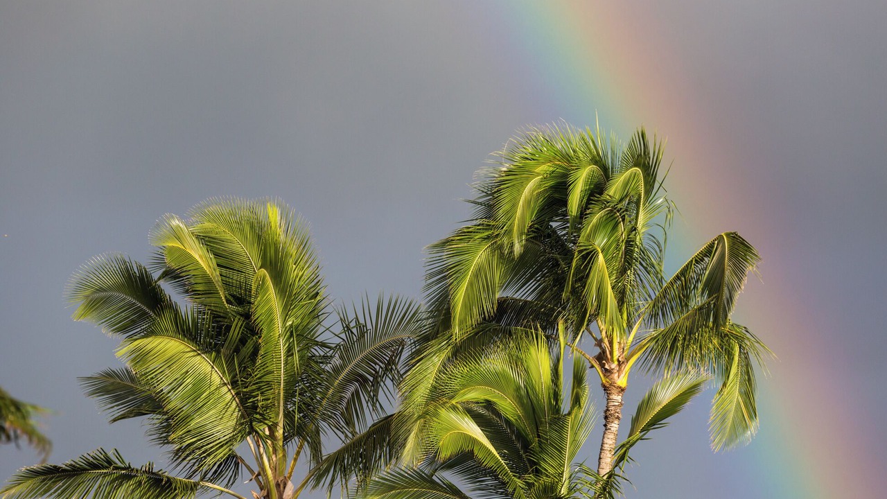 Photo of Others in Lihue