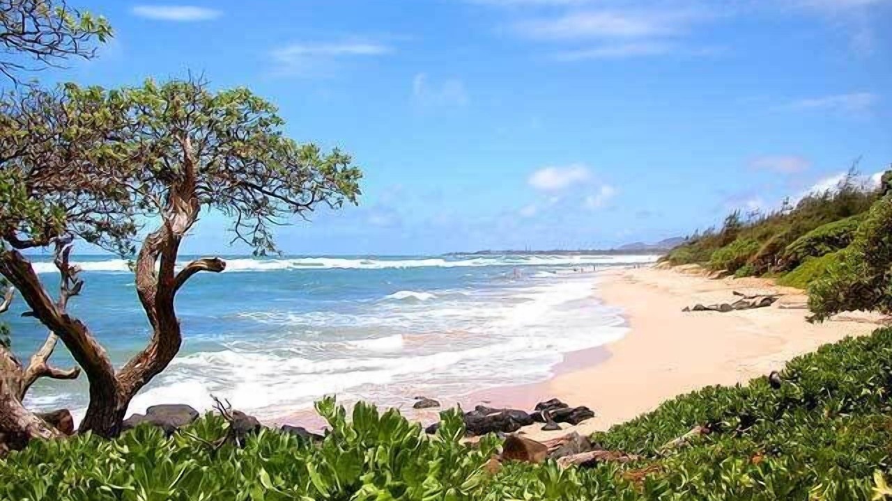 Photo of Others in Lihue