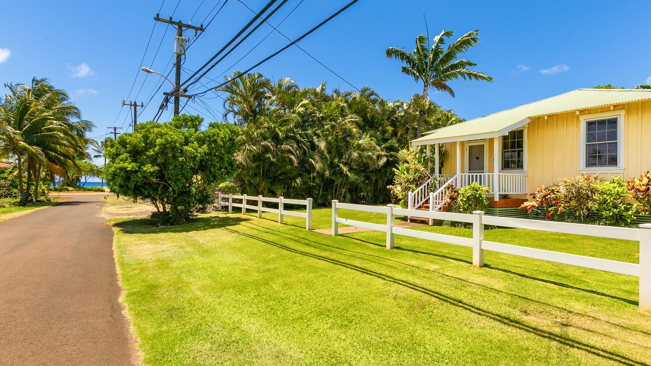 Photo of Others in Poipu