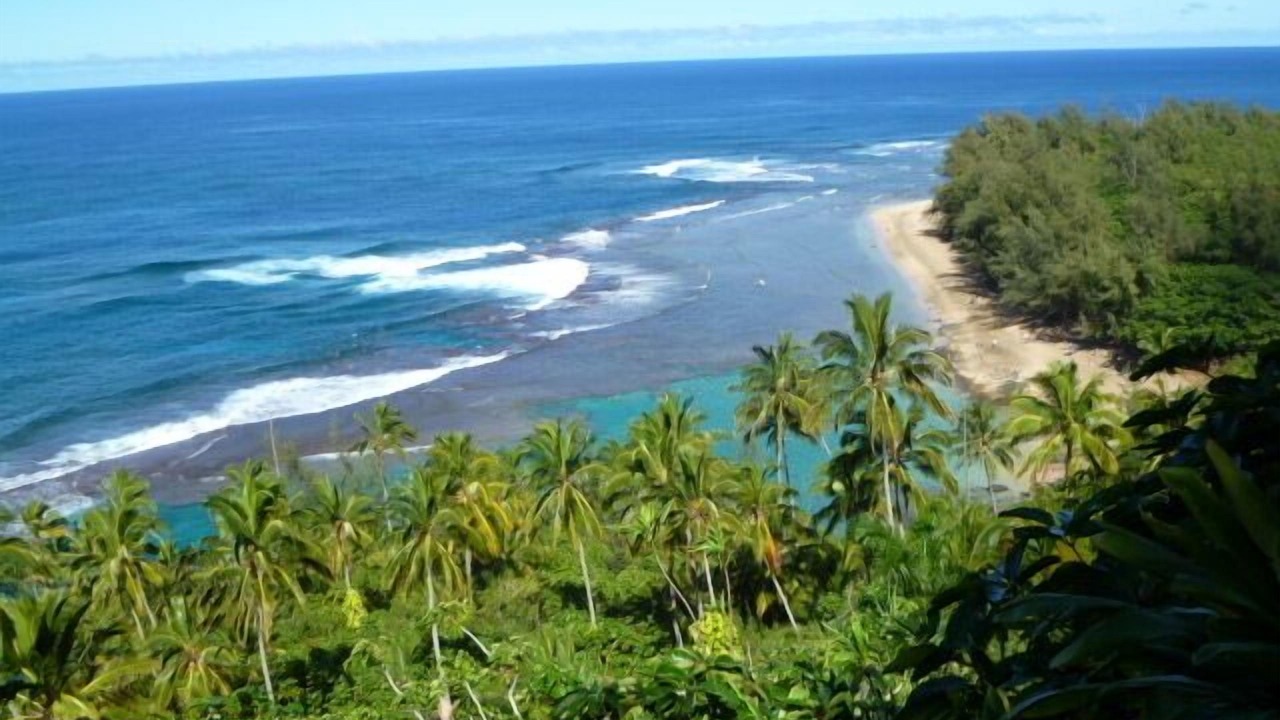 Photo of Others in Poipu