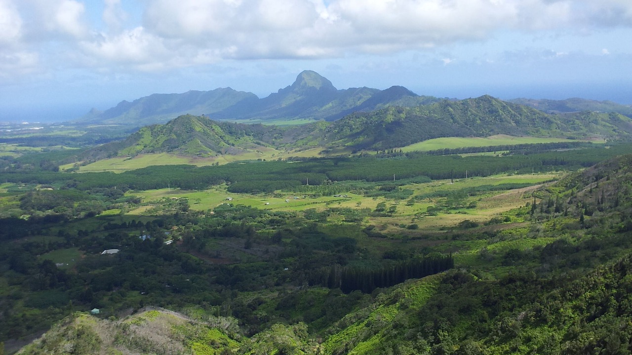 Photo of Others in Poipu