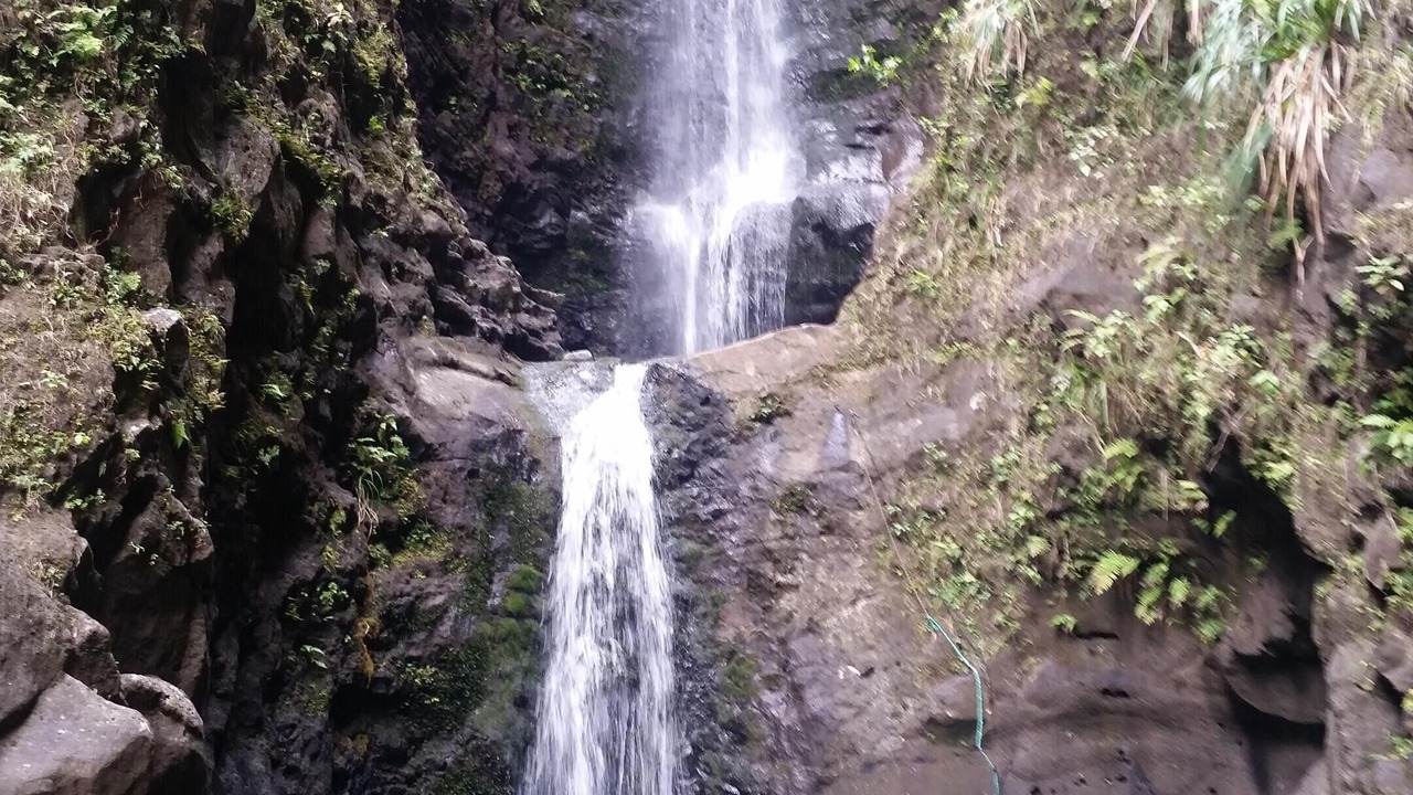 Photo of Others in Poipu