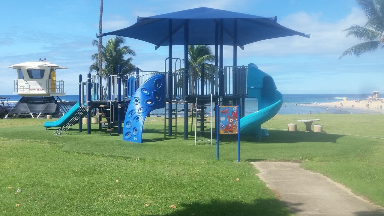 Photo of Others in Poipu