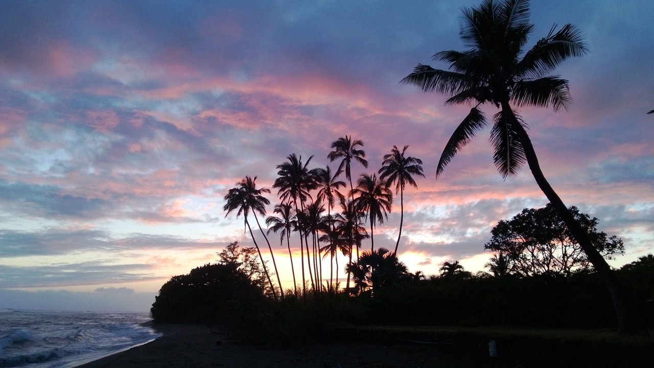Photo of Others in Poipu