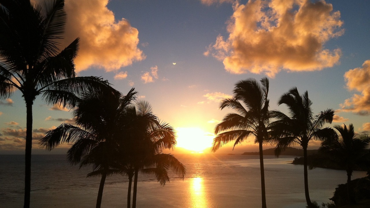 Photo of Others in Princeville