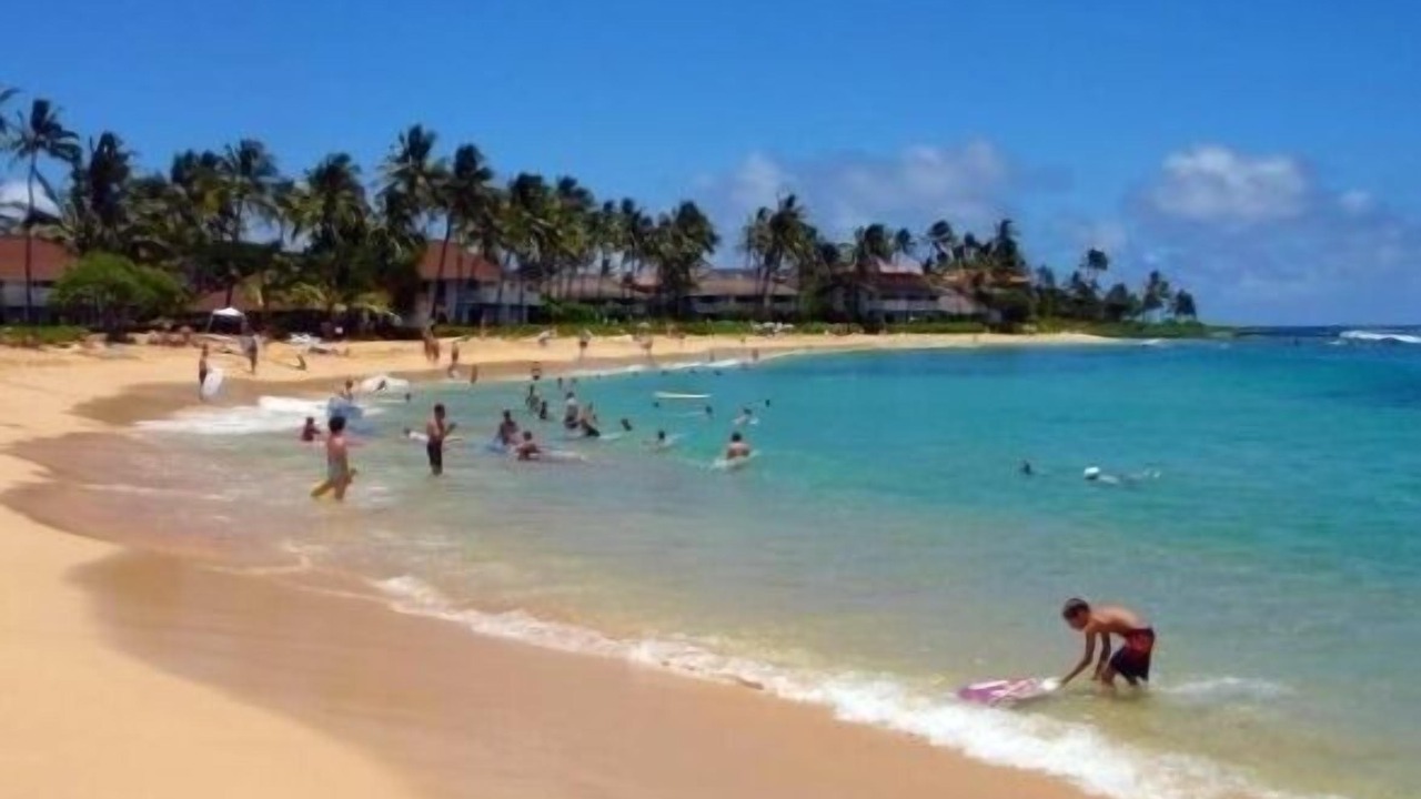 Photo of Others in Poipu