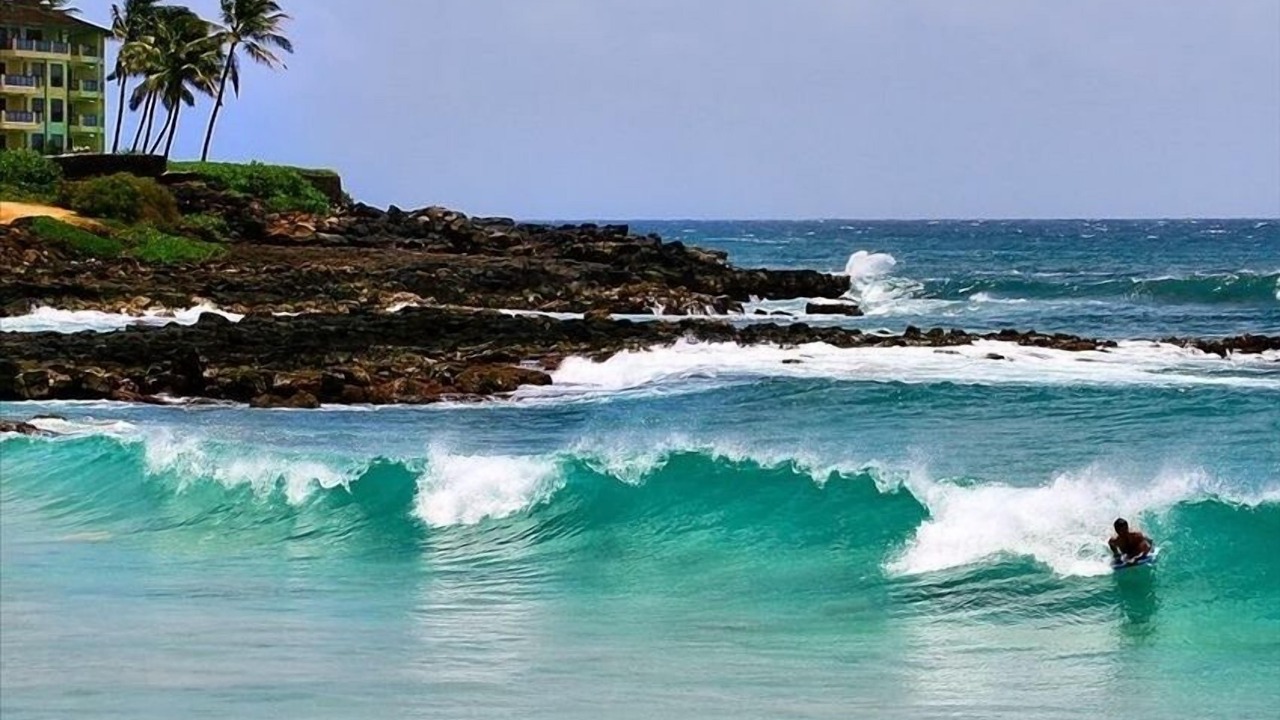 Photo of Others in Poipu