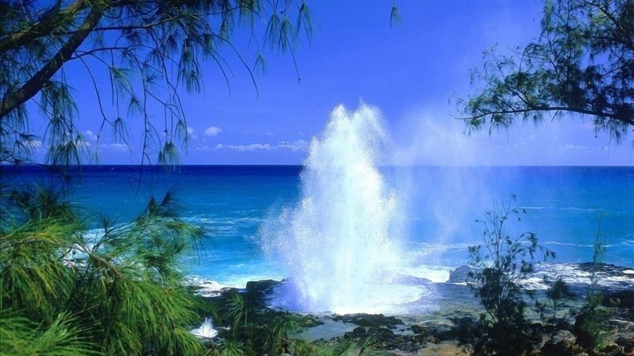 Photo of Others in Poipu