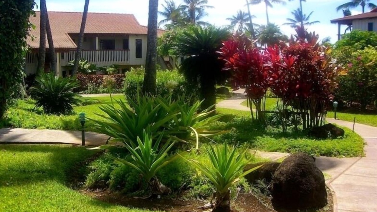 Photo of Others in Poipu