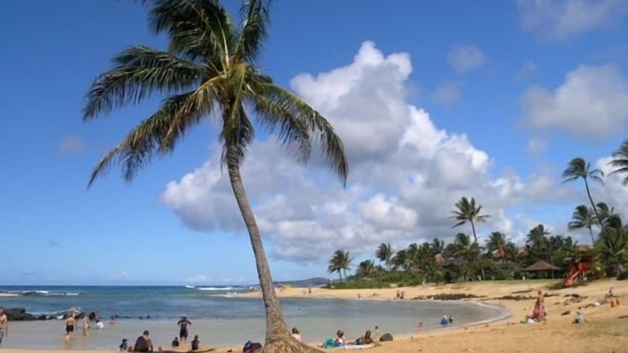 Photo of Others in Poipu