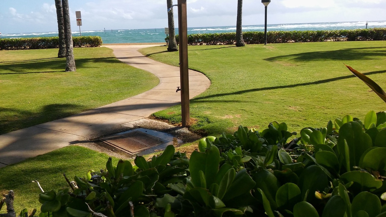 Photo of Outdoor in Kapaa