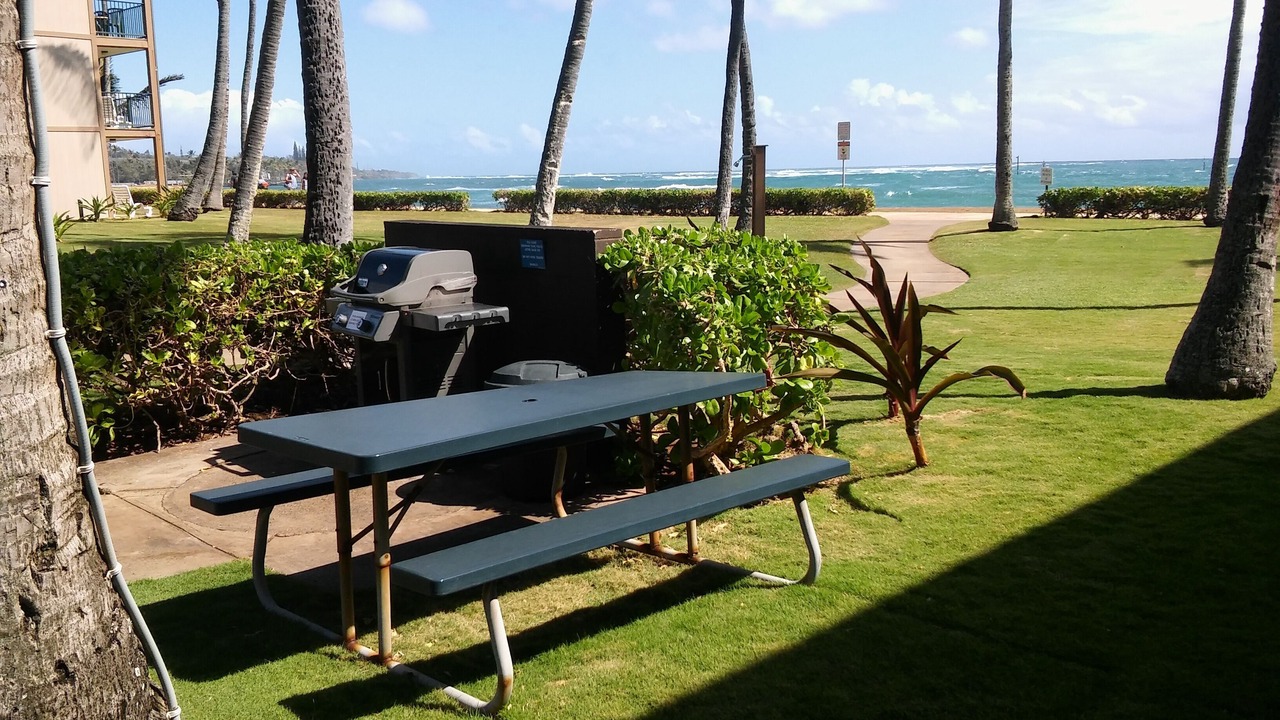 Photo of Others in Kapaa