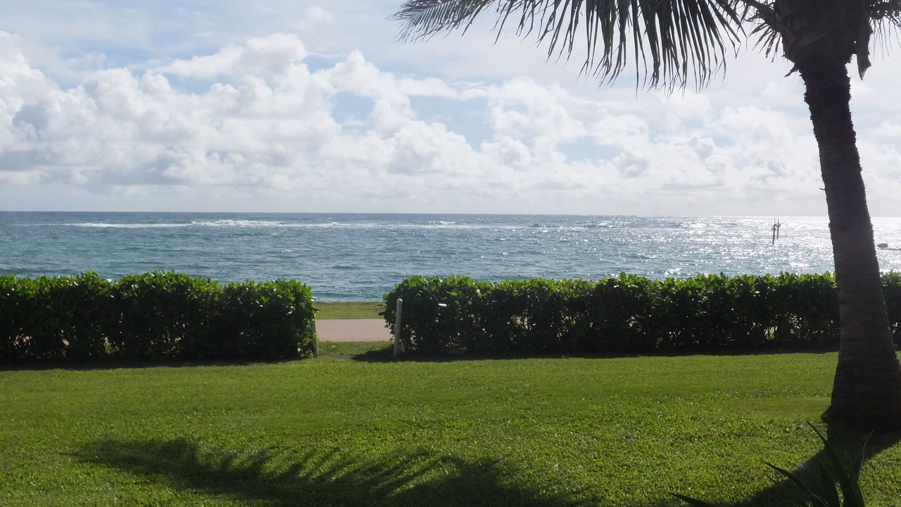 Photo of Others in Kapaa