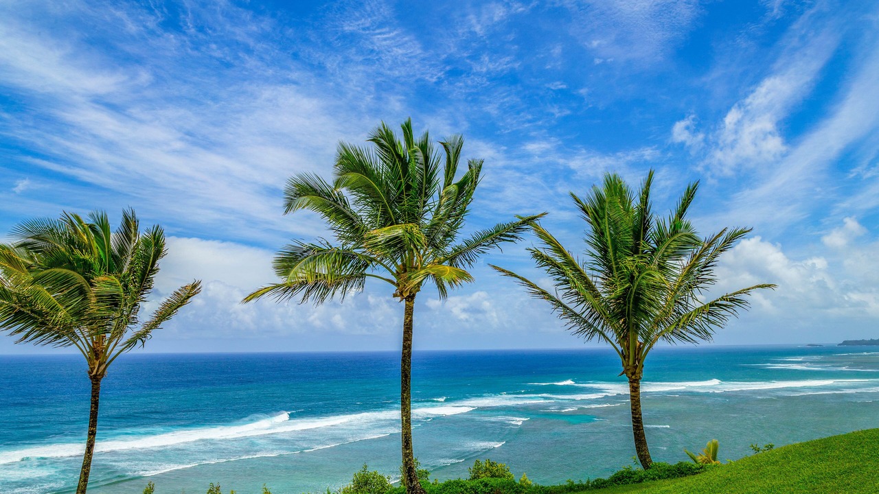 Photo of Others in Princeville