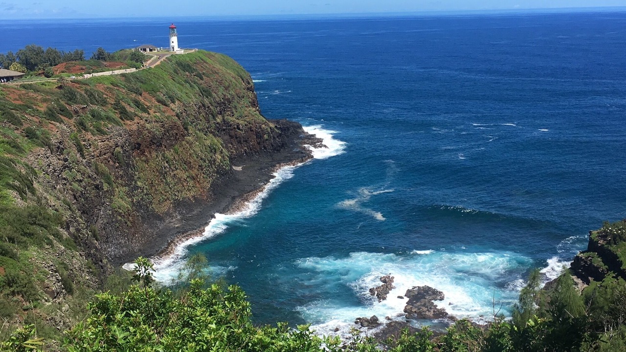 Photo of Others in Princeville