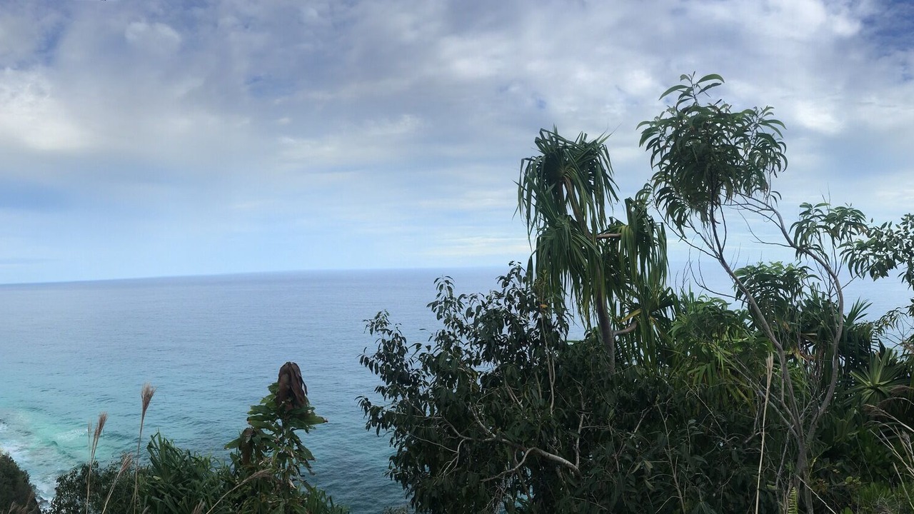 Photo of Others in Princeville