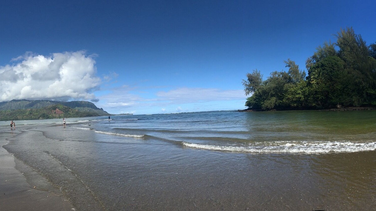 Photo of Others in Princeville