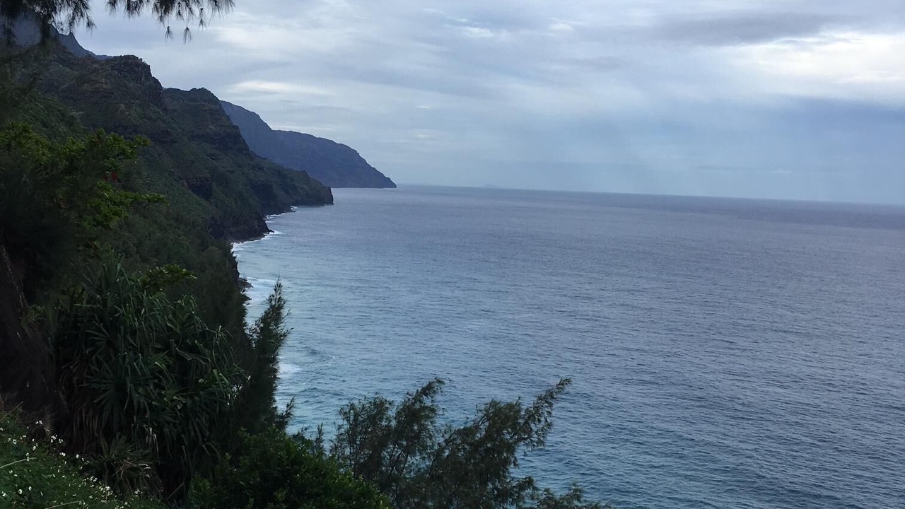 Photo of Others in Princeville