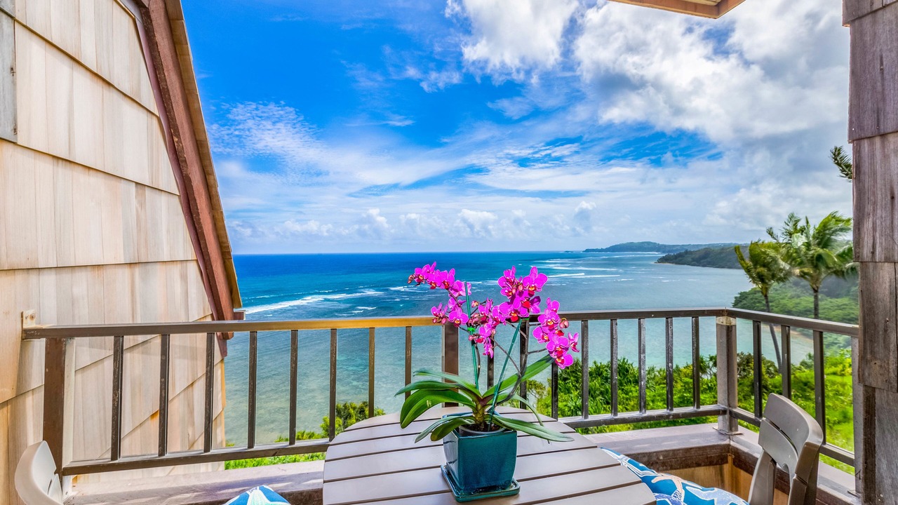 Photo of Others in Princeville