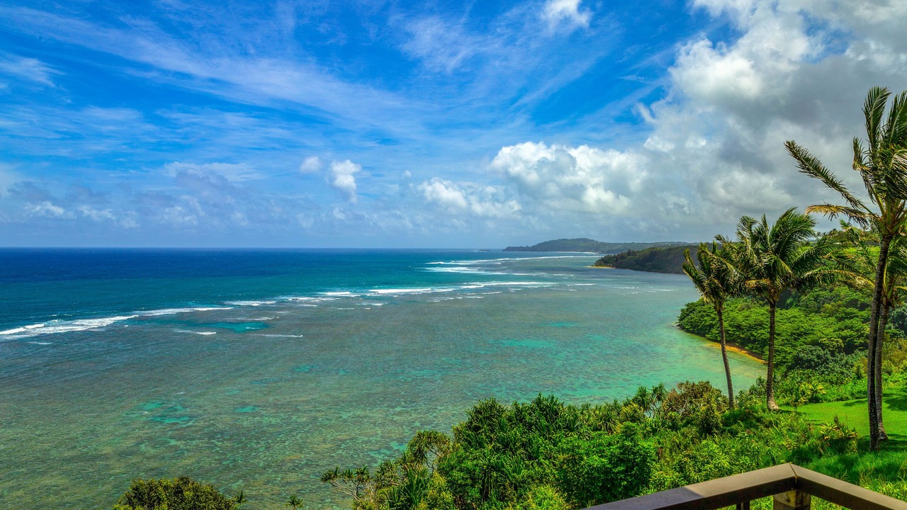 Photo of Outdoor in Princeville