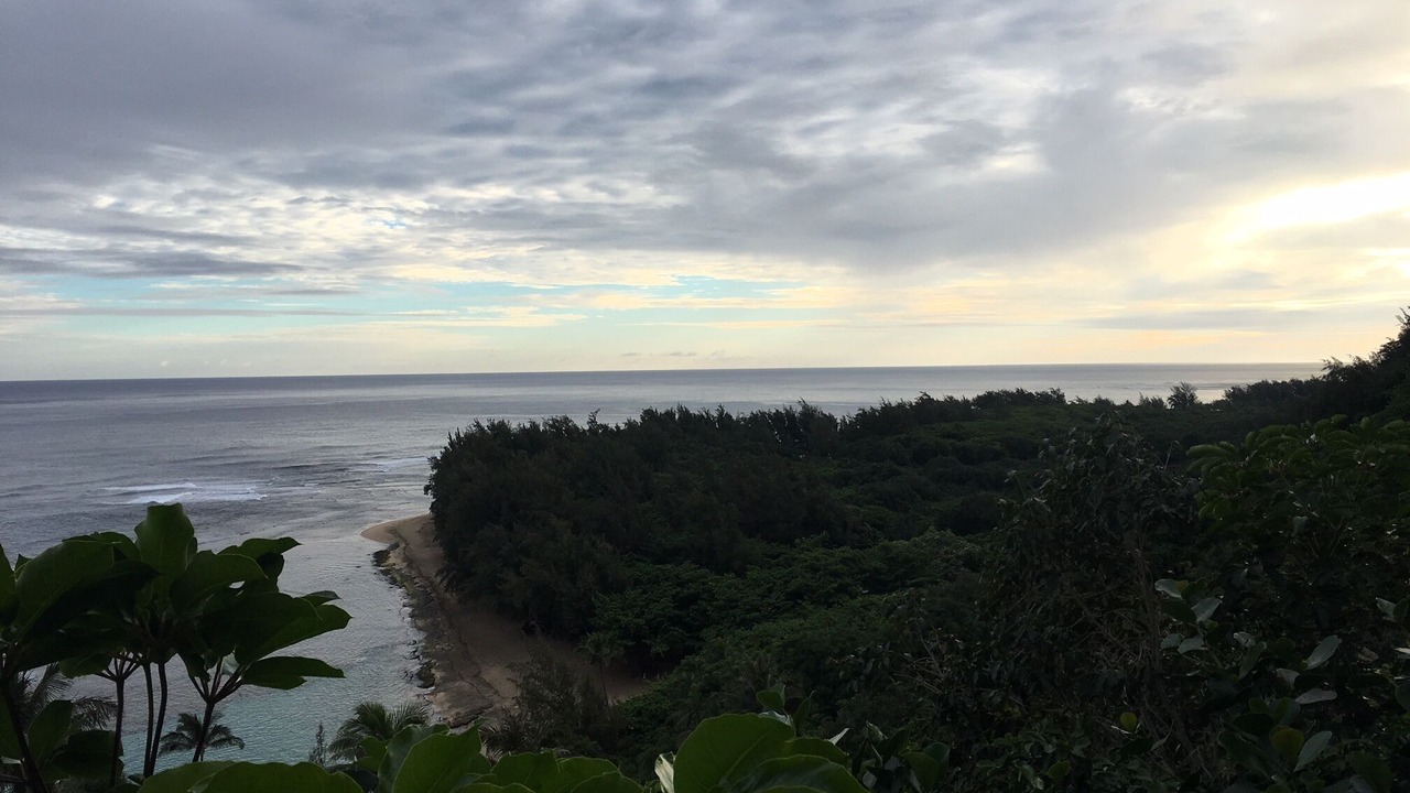 Photo of Others in Princeville