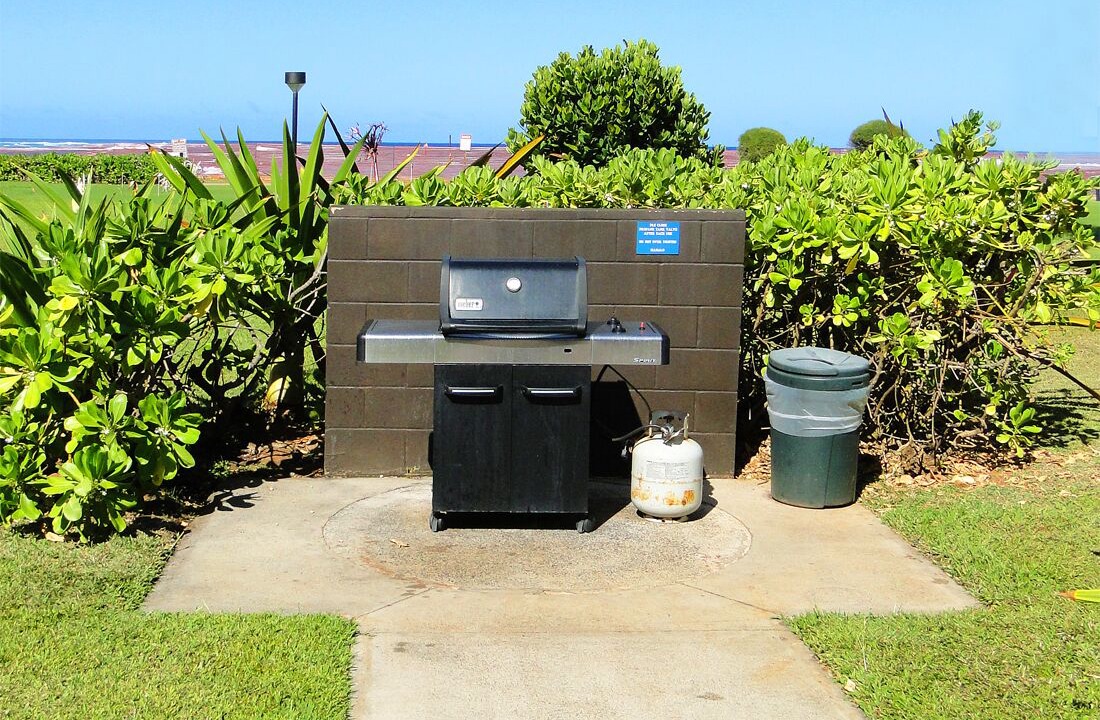 Photo of Others in Kapaa