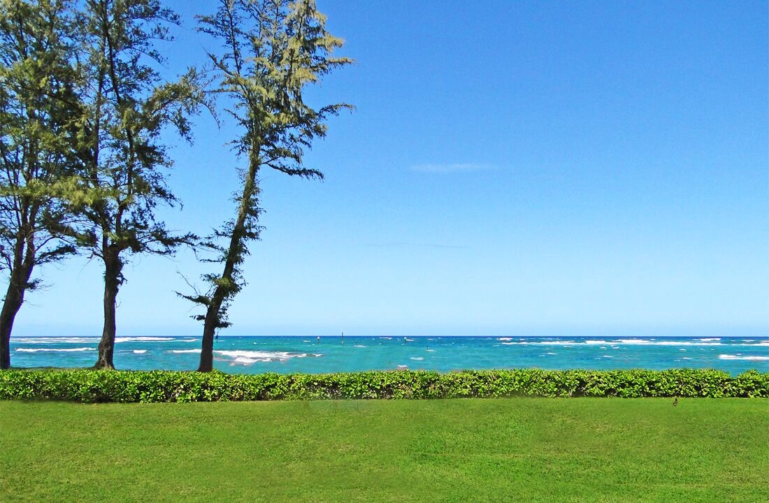 Photo of Others in Kapaa