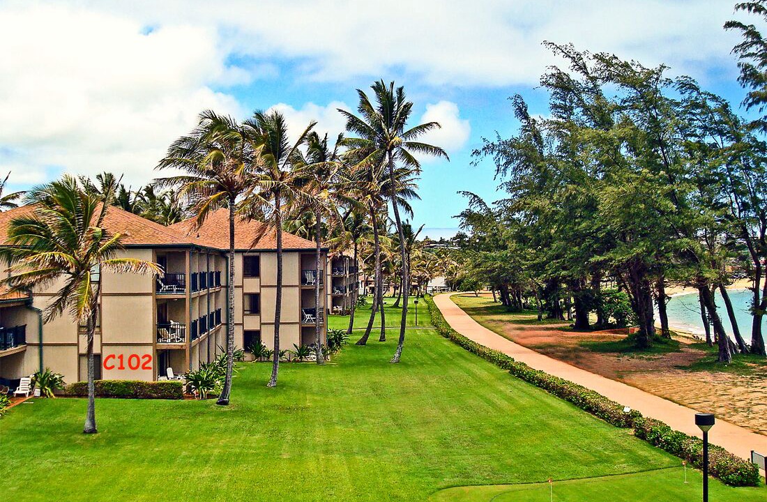Photo of Others in Kapaa
