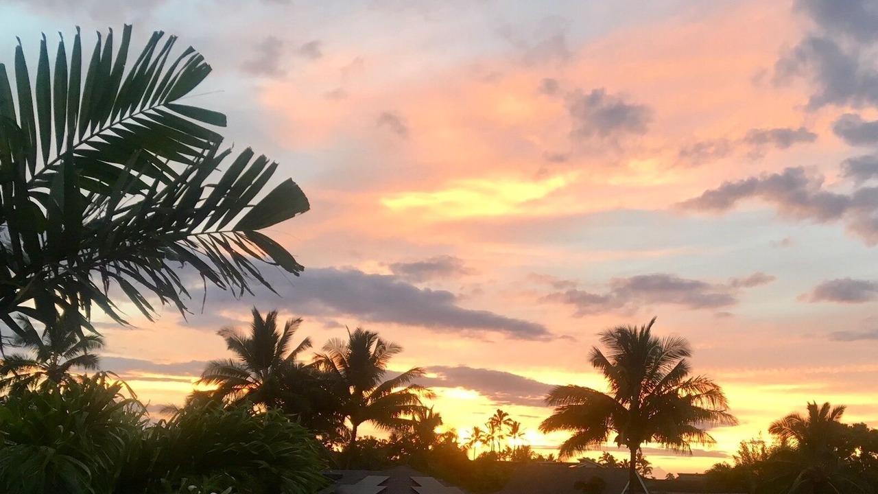 Photo of Others in Princeville