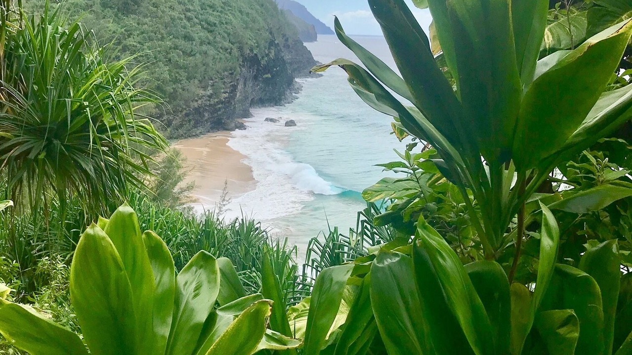 Photo of Outdoor in Princeville