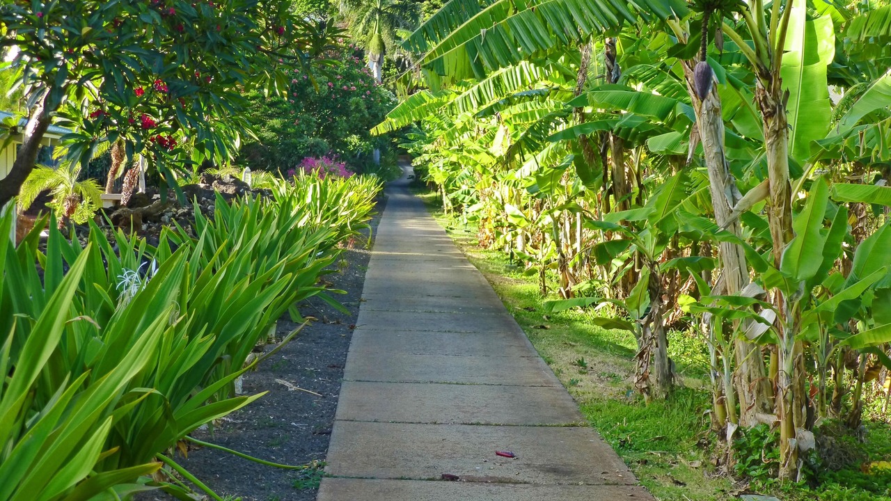 Photo of Others in Poipu