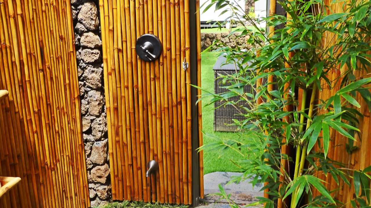 Photo of Outdoor in Poipu
