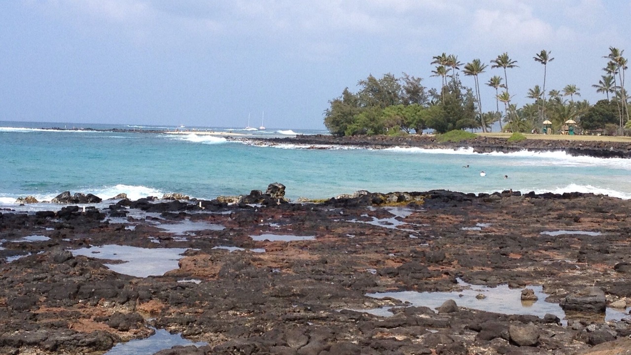Photo of Others in Poipu
