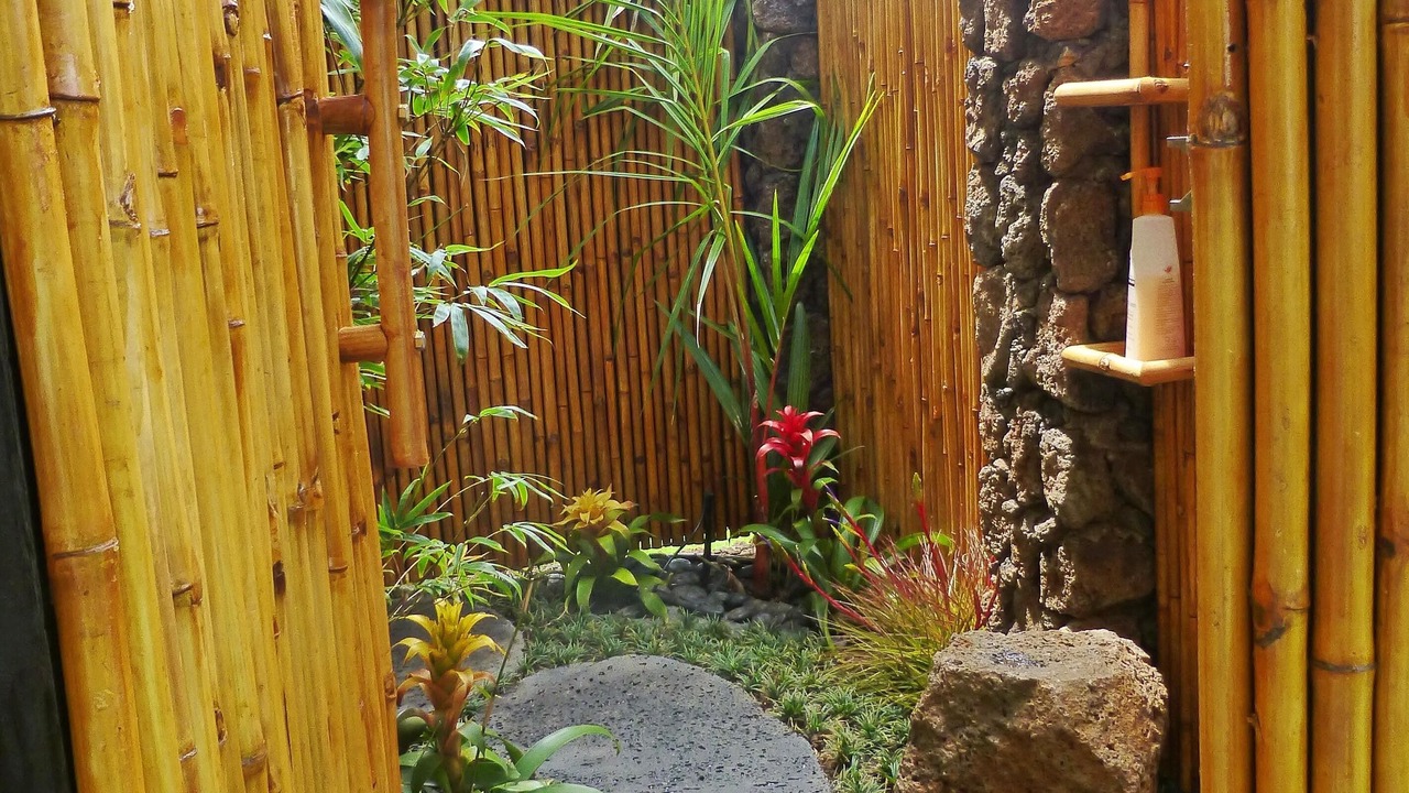 Photo of Outdoor in Poipu