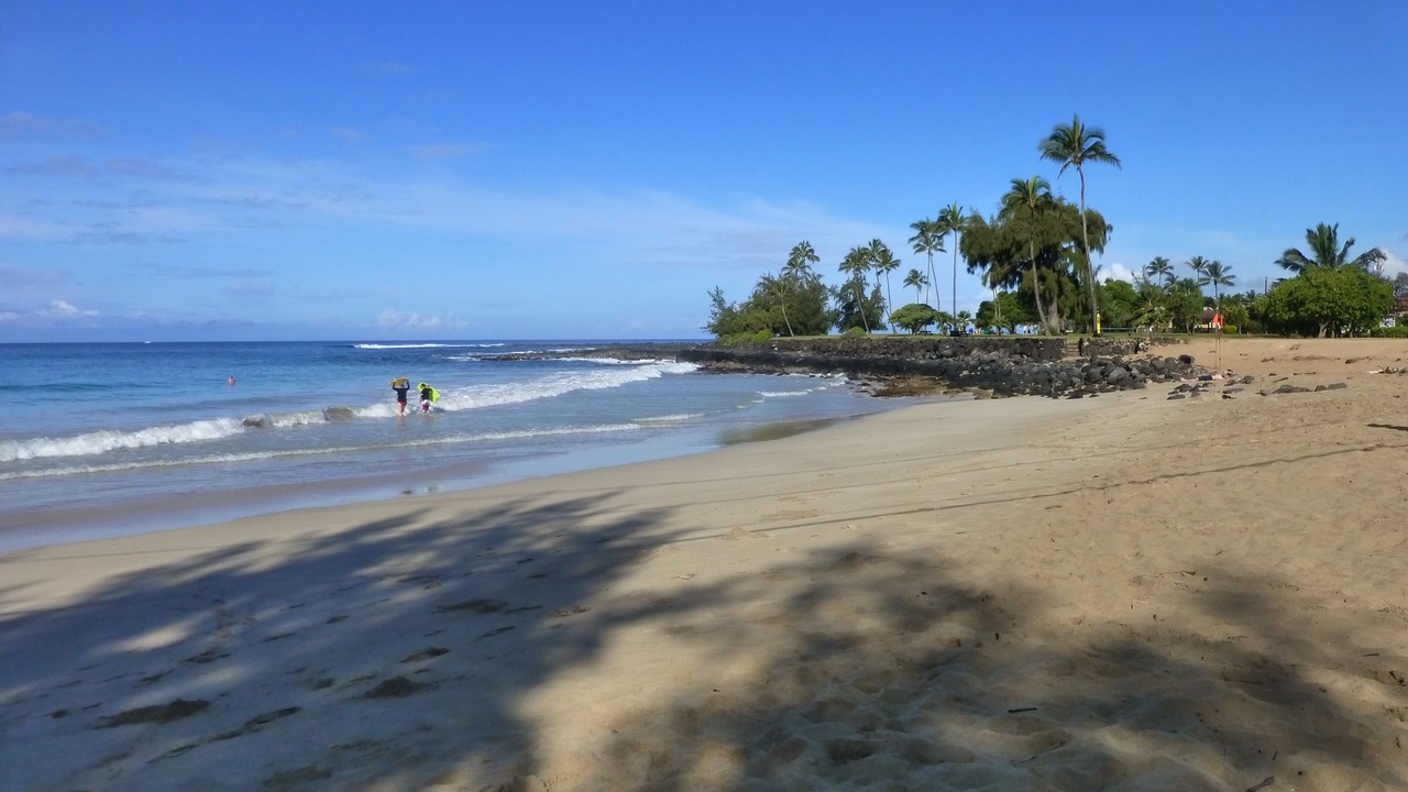 Photo of Others in Poipu