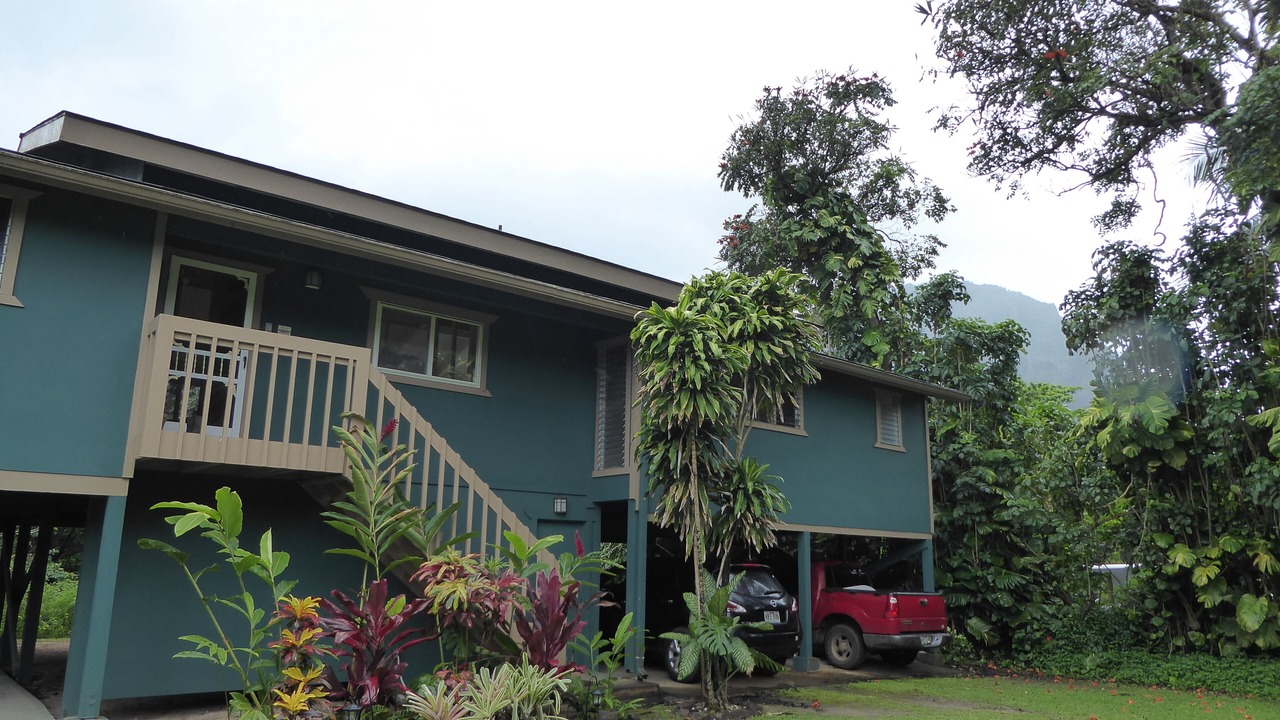 Photo of Others in Wainiha