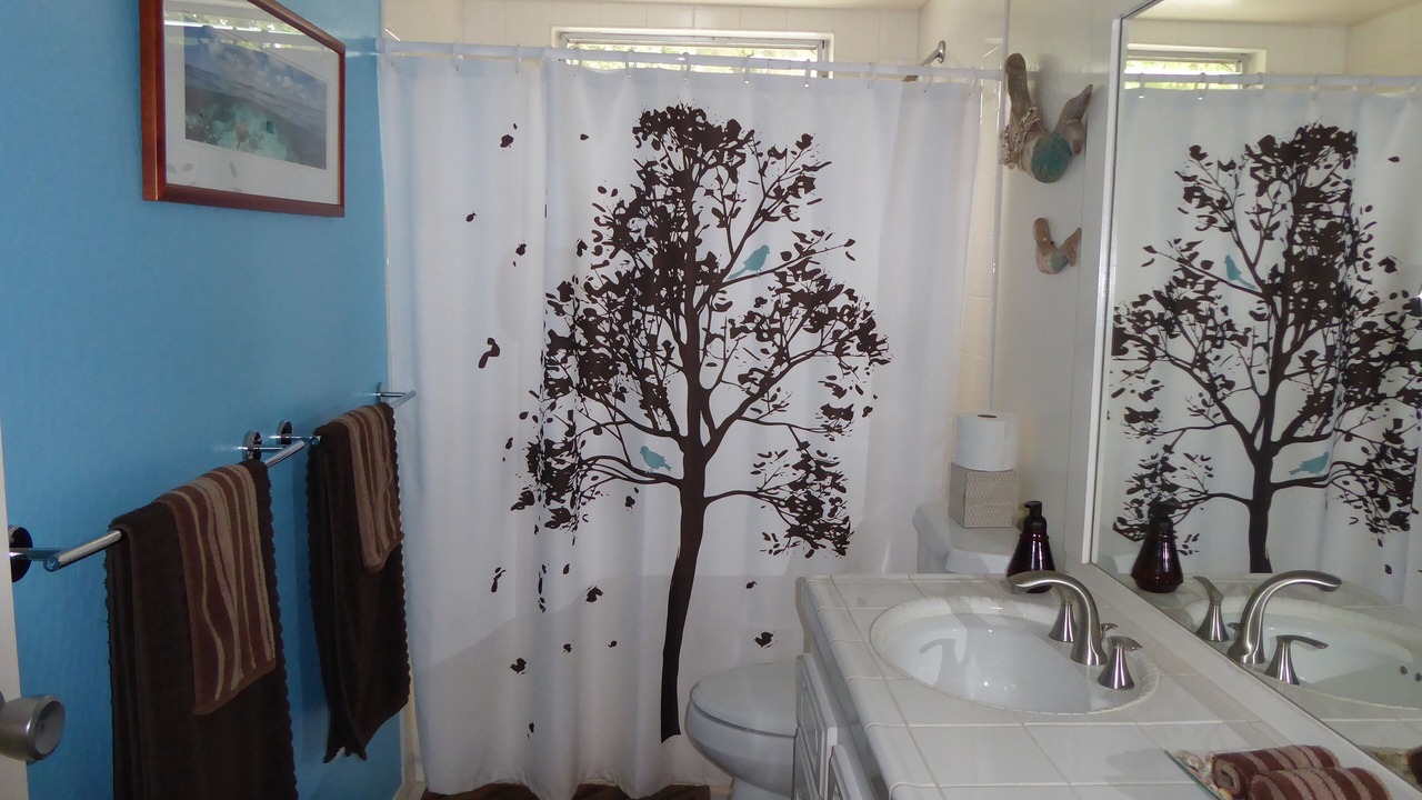 Photo of Bathroom in Wainiha
