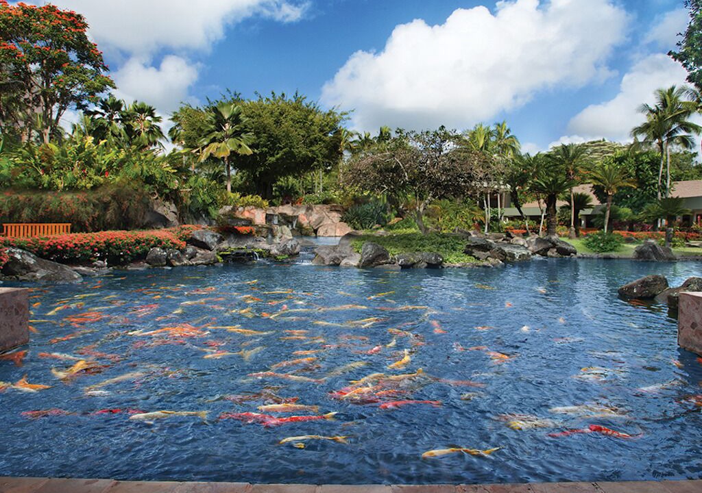 Photo of Outdoor in Lihue