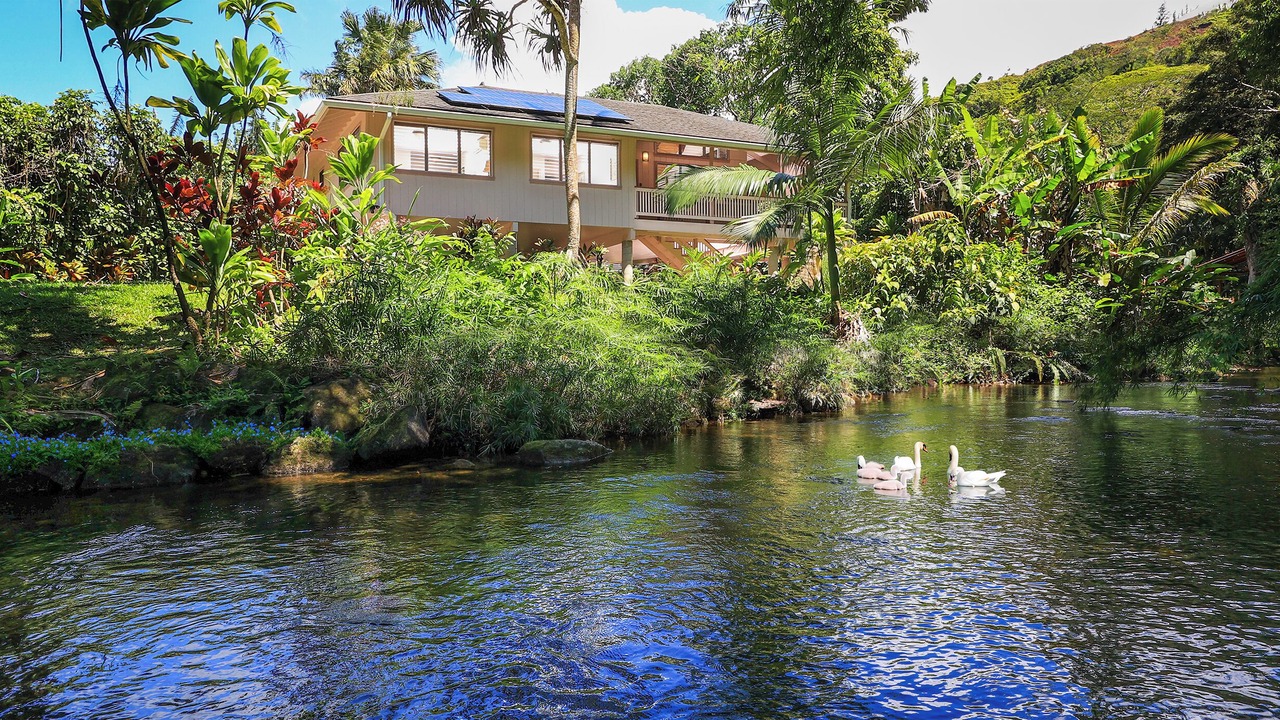 Photo of Others in Wainiha
