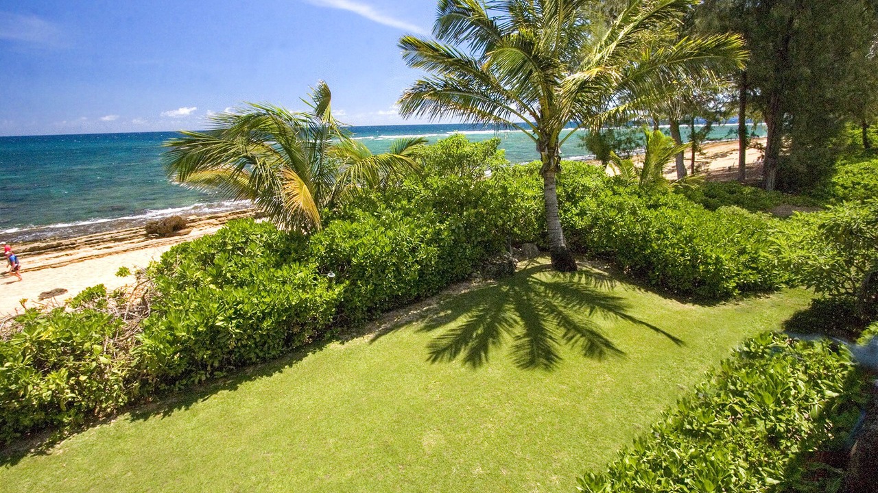 Photo of Others in Wainiha