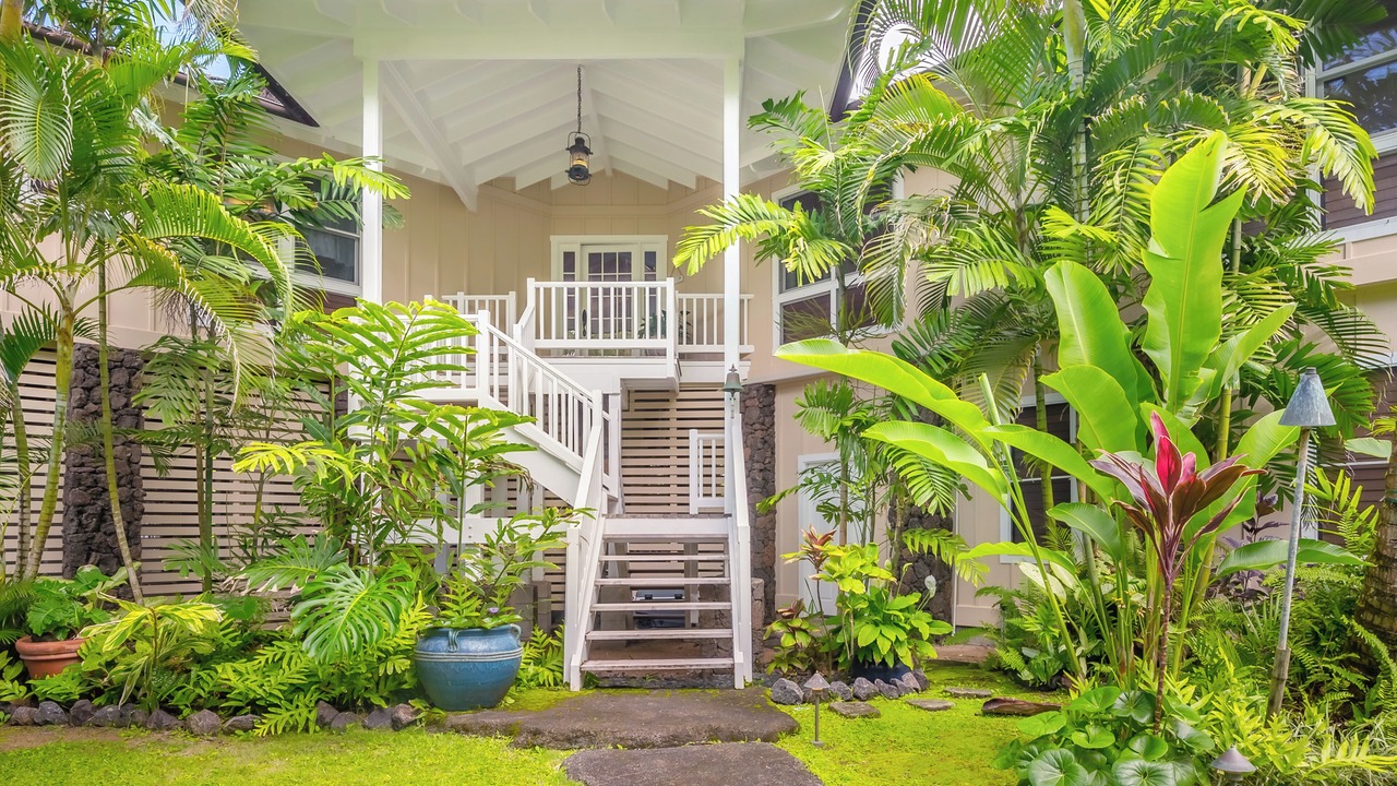 Photo of Others in Wainiha