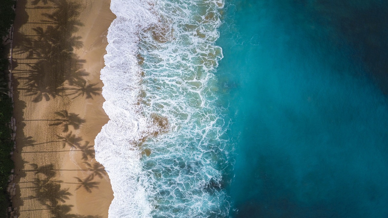 Photo of Others in Wainiha