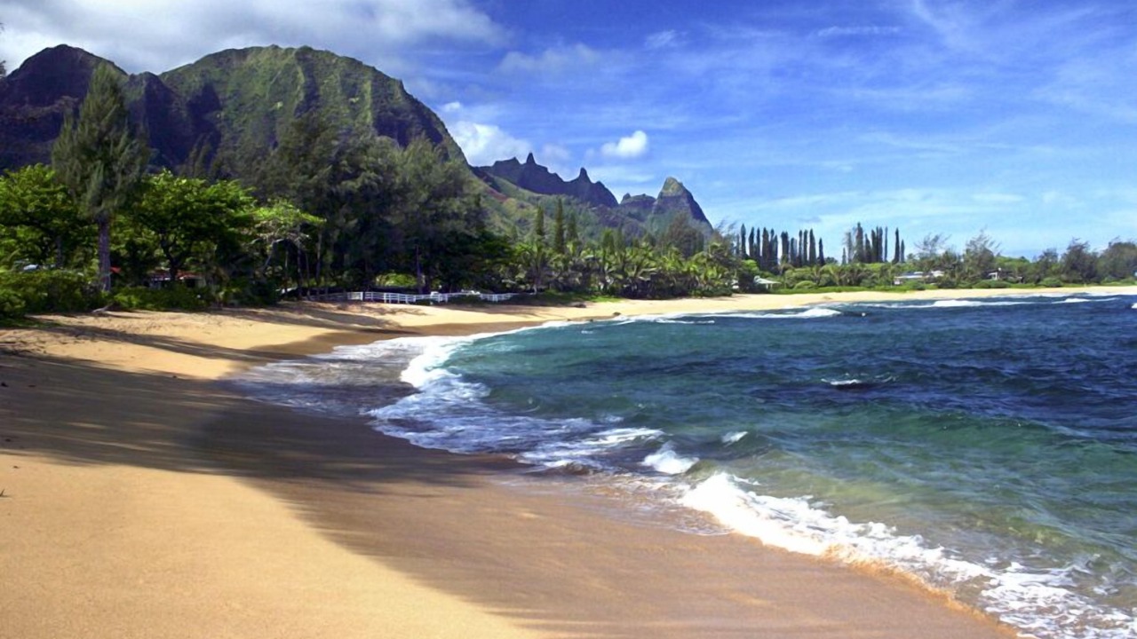 Photo of Others in Wainiha