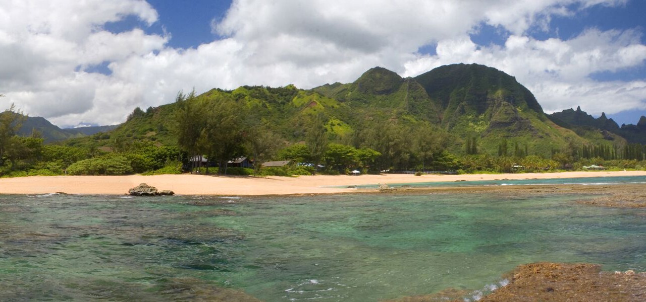 Photo of Others in Wainiha