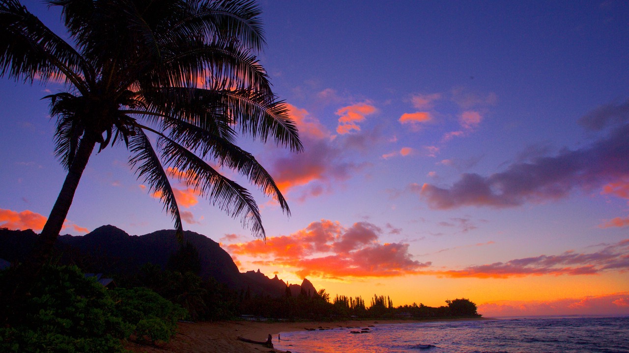 Photo of Others in Wainiha