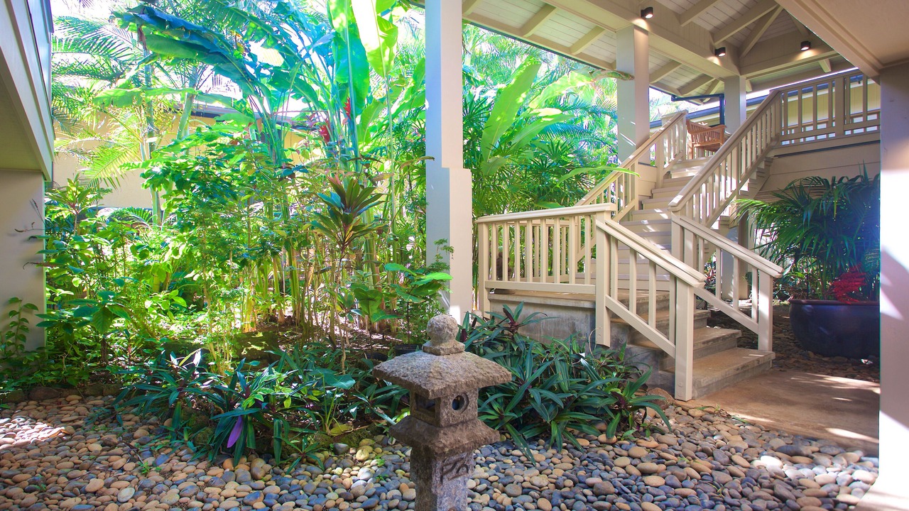 Photo of Outdoor in Wainiha