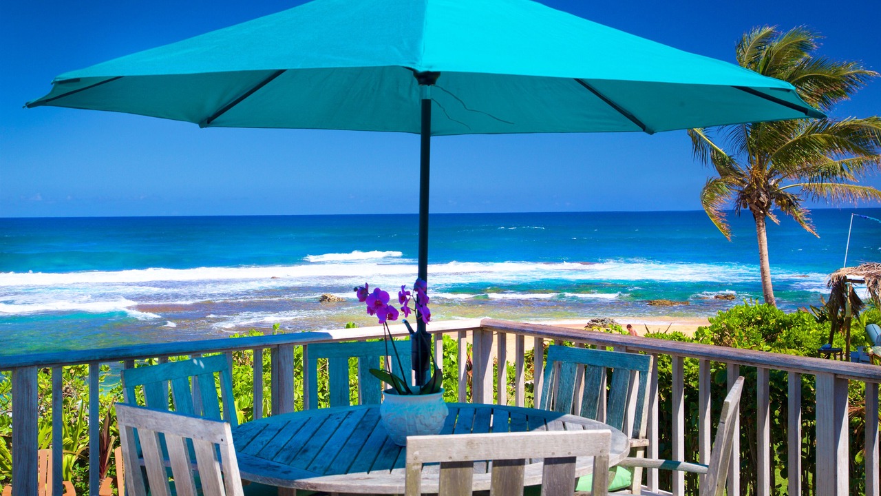 Photo of Outdoor in Wainiha
