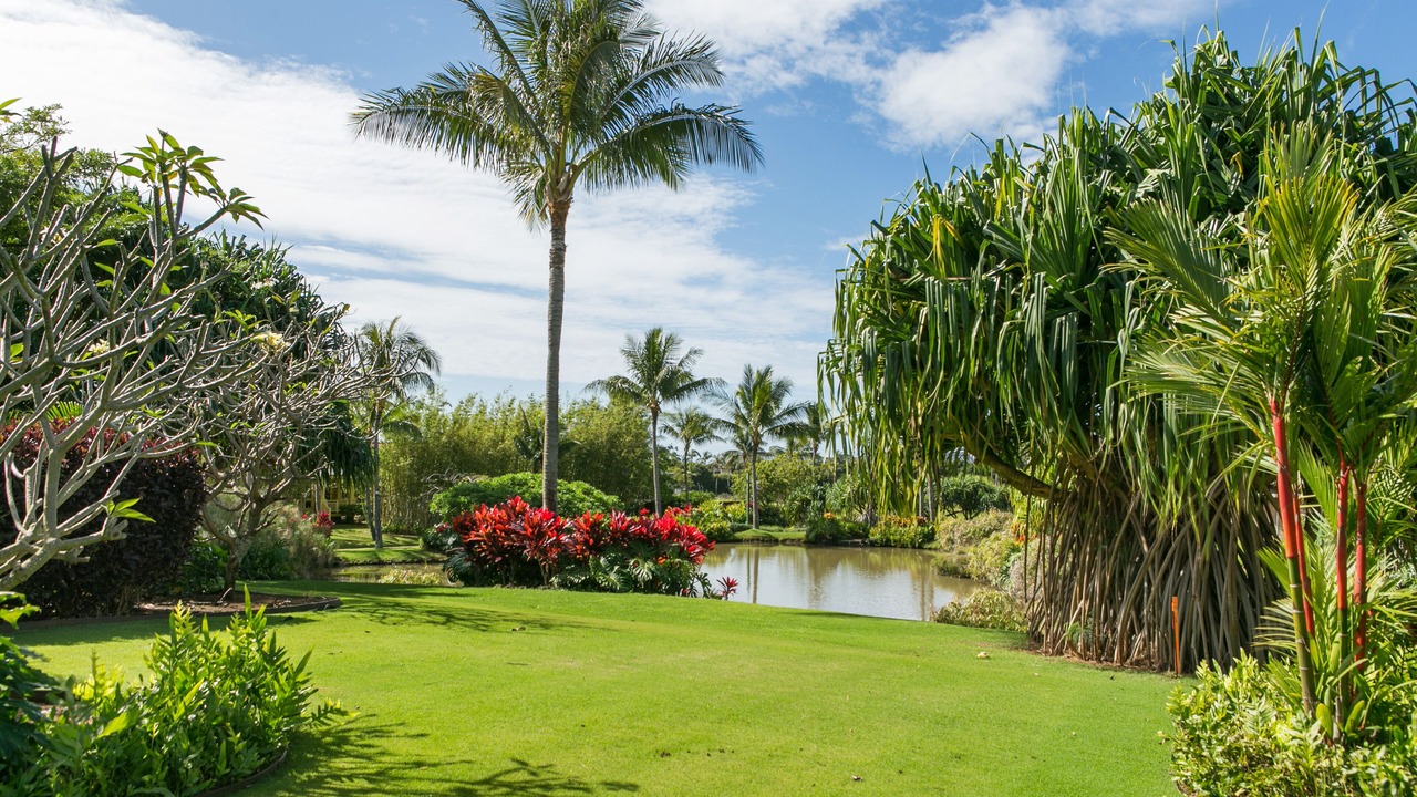 Photo of Others in Poipu