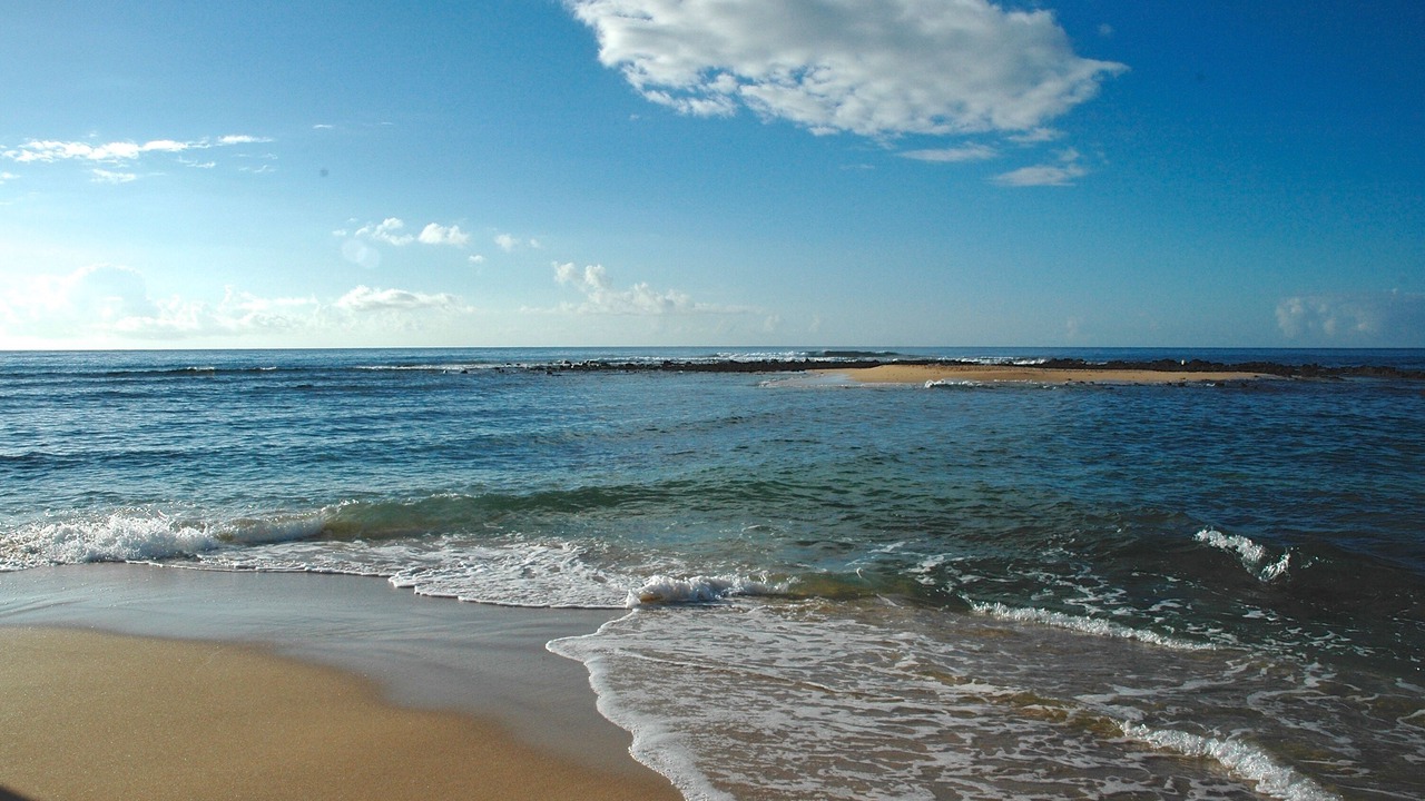 Photo of Others in Poipu