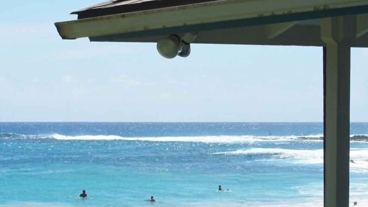 Photo of Others in Poipu
